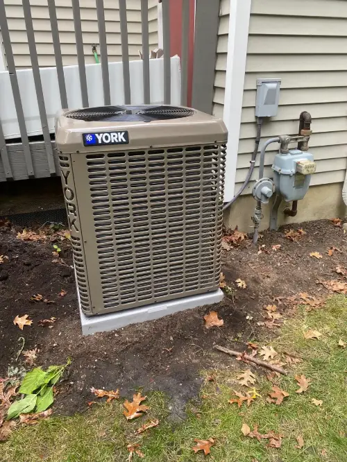 WhatsApp-Image-2023-11-15-at-23.38.14 (1)