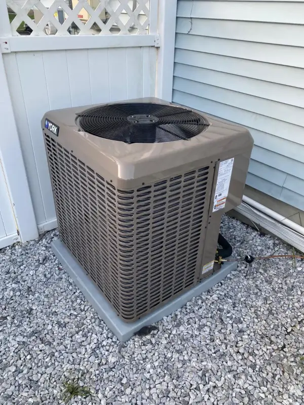 WhatsApp-Image-2023-11-15-at-23.38.15-4 (1)