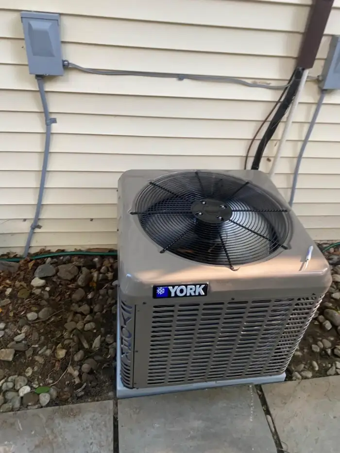 WhatsApp-Image-2023-11-15-at-23.38.15-6 (1)